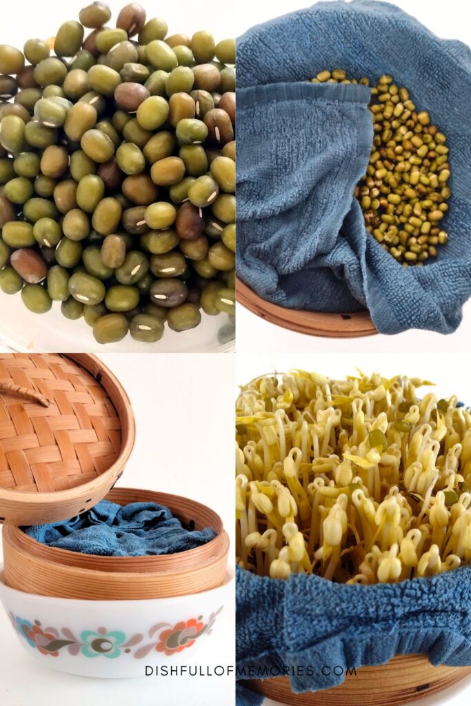 Collage image of step by step photos on how to sprout bean sprouts at home in a bamboo steamer basket.